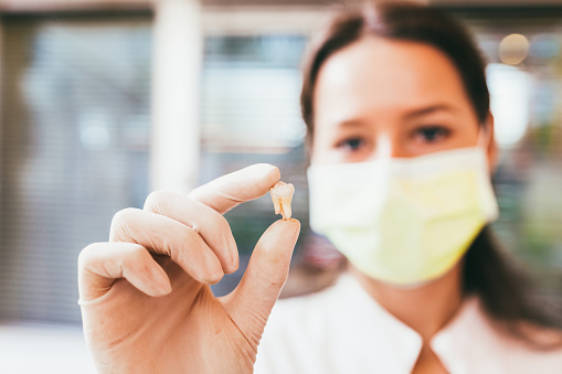 A dentist holding a missing tooth